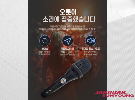 MIC-300